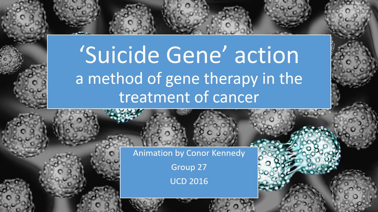 Suicide Gene therapy YouTube