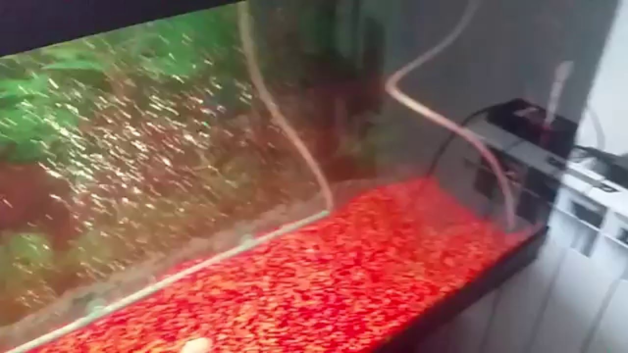 Pompa Aria Silenziosa Per Acquario - Aeratore Con Pietra Porosa, Adatta Per Vasche, Stagni E Sistemi Idroponici - Foto 13