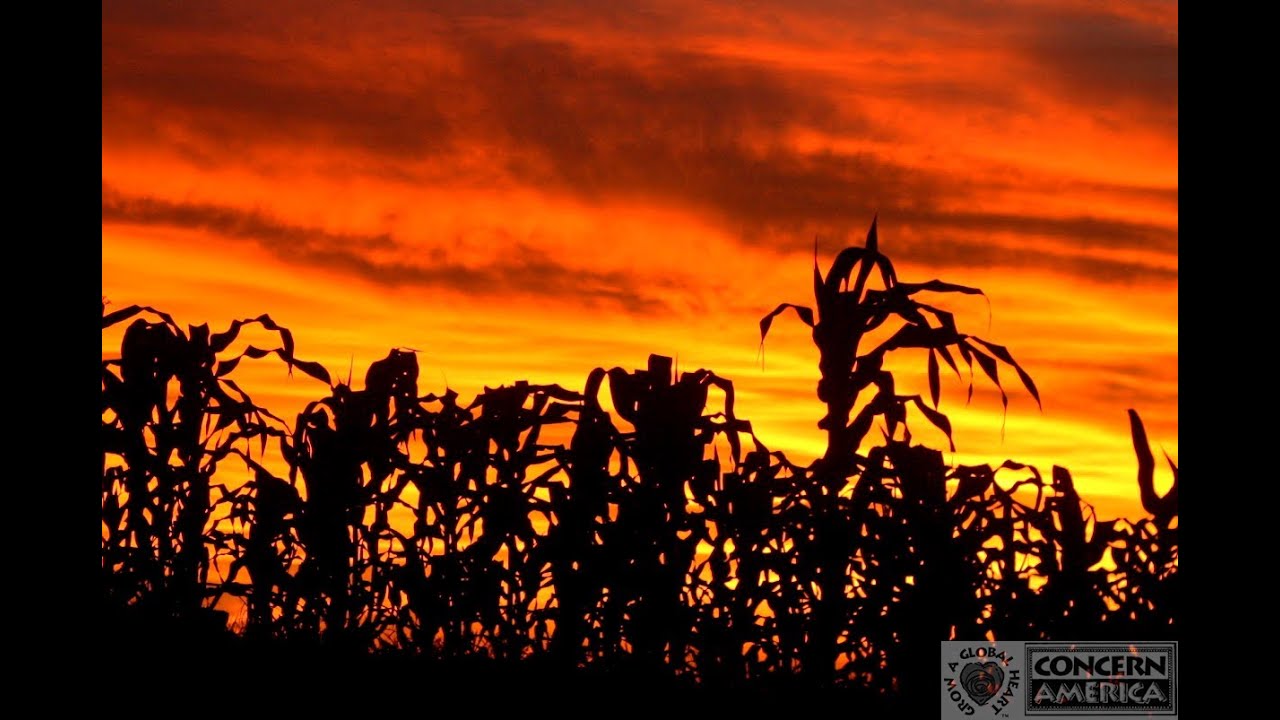 Take a Closer Look at Concern America