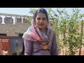 Sunita Godara लाइव है!