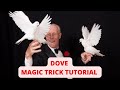 HOW TO MAKE A WHITE DOVE APPEAR | DOVE MAGIC TRICK EXPLANATION