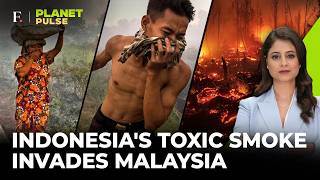 Malaysia Chokes As Indonesia Burns, Toxic Haze Triggers Emergency Across Border | Planet Pulse