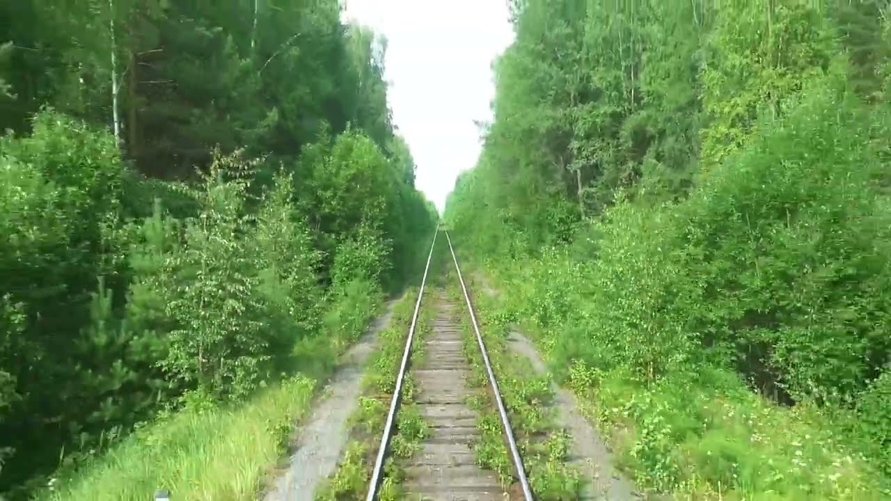 Малодеятельная ветка Серов - Алапаевск. Вид из окна поезда от Карпунино до Алапаевска