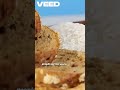 Survive Without Modern Food