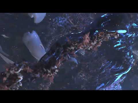 Sam Shure - Division (Official Visualizer) adlı videoyu YouTube'da izle Sam Shure - Division (Official Visualizer) adlı videoyu YouTube'da izle