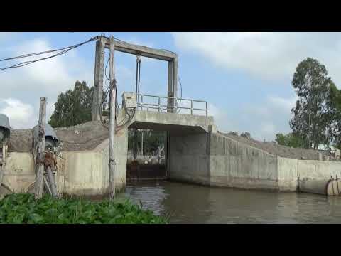 Video Trạm bơm điện 3 pha động cơ khủng bơm nước cho 3000... - youtube