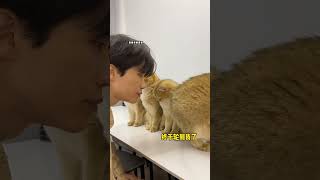 【牛奶是只猫】最后一只是什么意思？？？？