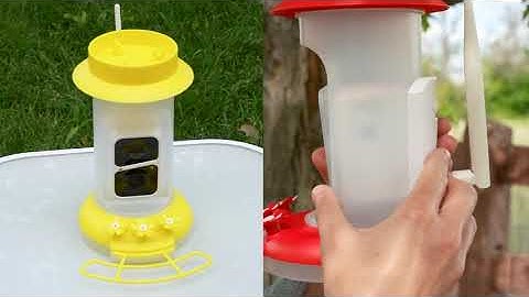 SOLIOM® BF10 Smart Hummingbird Feeder AI Camera, HD Wireless Bird watching Live Cam