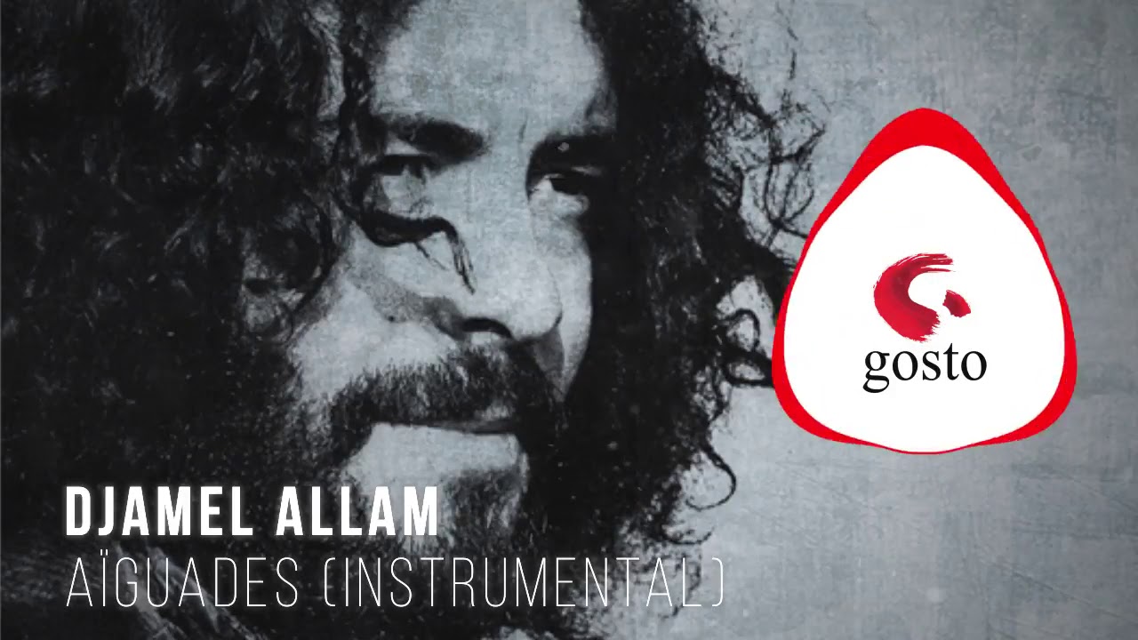 Djamel Allam   Agades Instrumental  Album Gouraya 