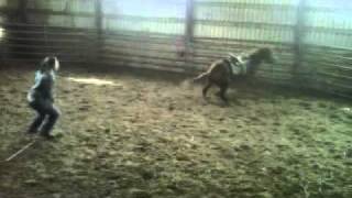 VID-20110406-00001