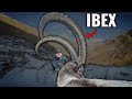 Kyrgyzstan Mid Asian Ibex Down! | Episode 2