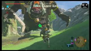 The Legend of Zelda: Breath of the Wild - Hynox  Oldest kin