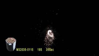 MS2035 0115 19 Shots