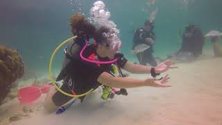 Isabella 1 Sting Ray City Sunset House Grand Cayman