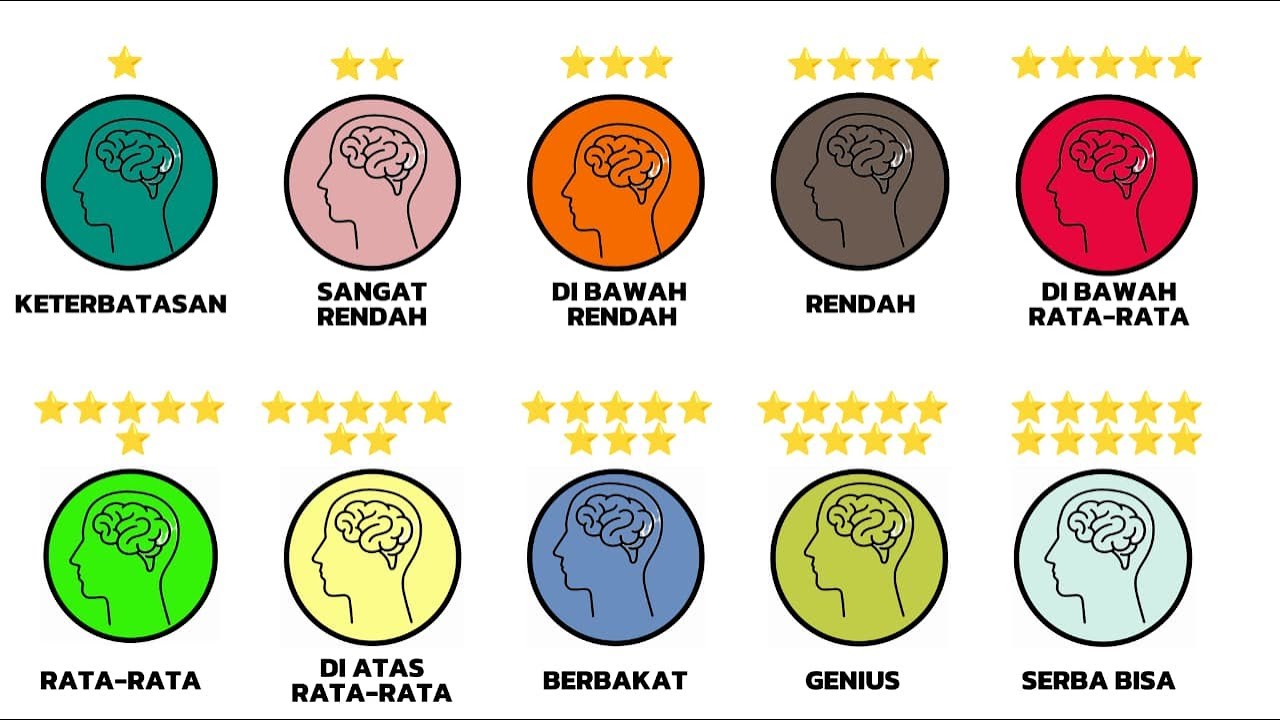 Setiap Tingkat Kecerdasan (IQ) Manusia Dijelaskan Dalam 9 Menit