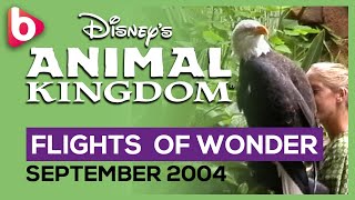 FLIGHTS OF WONDER at Animal KIngdom (2004)