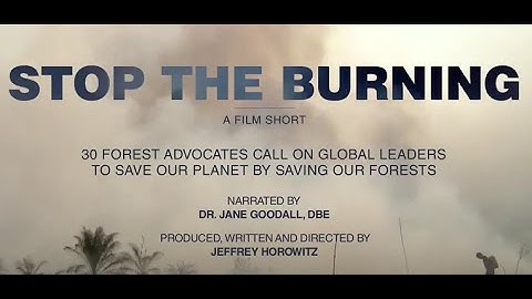 STOP THE BURNING - 30 global leaders send a collective message to end deforestation