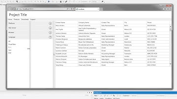 DevExpress ASP.NET MVC: How to Create a New MVC Application