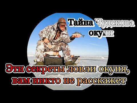 Раскрываю секреты ловли окуня на Чудском озере. Как правильно сделать удочку.