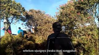 story wa 30 detik | Fiersa besari | part 2