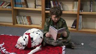 reading therapy dog training