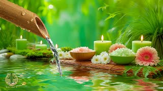 Download Lagu Relaxing Music + Soothing Water Sound for Sleep, Meditation 🌿 Insomnia Relief, Anxiety \u0026 Depression MP3