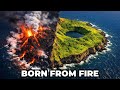 A New Island Grew Its Own Forest 🌋✨