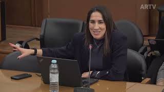 19-02-2026 | Audição da Associação Nacional de Agentes e Corretores de Seguros | Marina Gonçalves