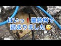 【閲覧注意】生野区で共同桝の詰まりを高圧洗浄機で詰まり抜き