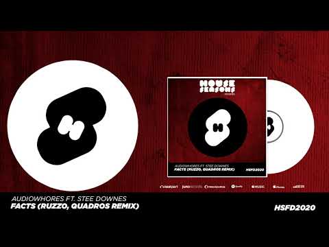 Audiowhores ft. Stee Downes - Facts (Ruzzo & Quadros Remix)