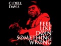 Thumbnail for Cedell Davis - Boogie Chillen