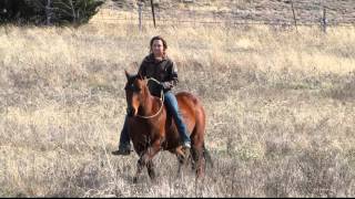 Bea Jae Hickory - BJ - bareback and bridle-less - Valley View Ranch