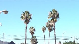 As Cal Fresh benefits run out, hunger doesn’t