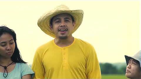 RCEF PalayCheck Overview