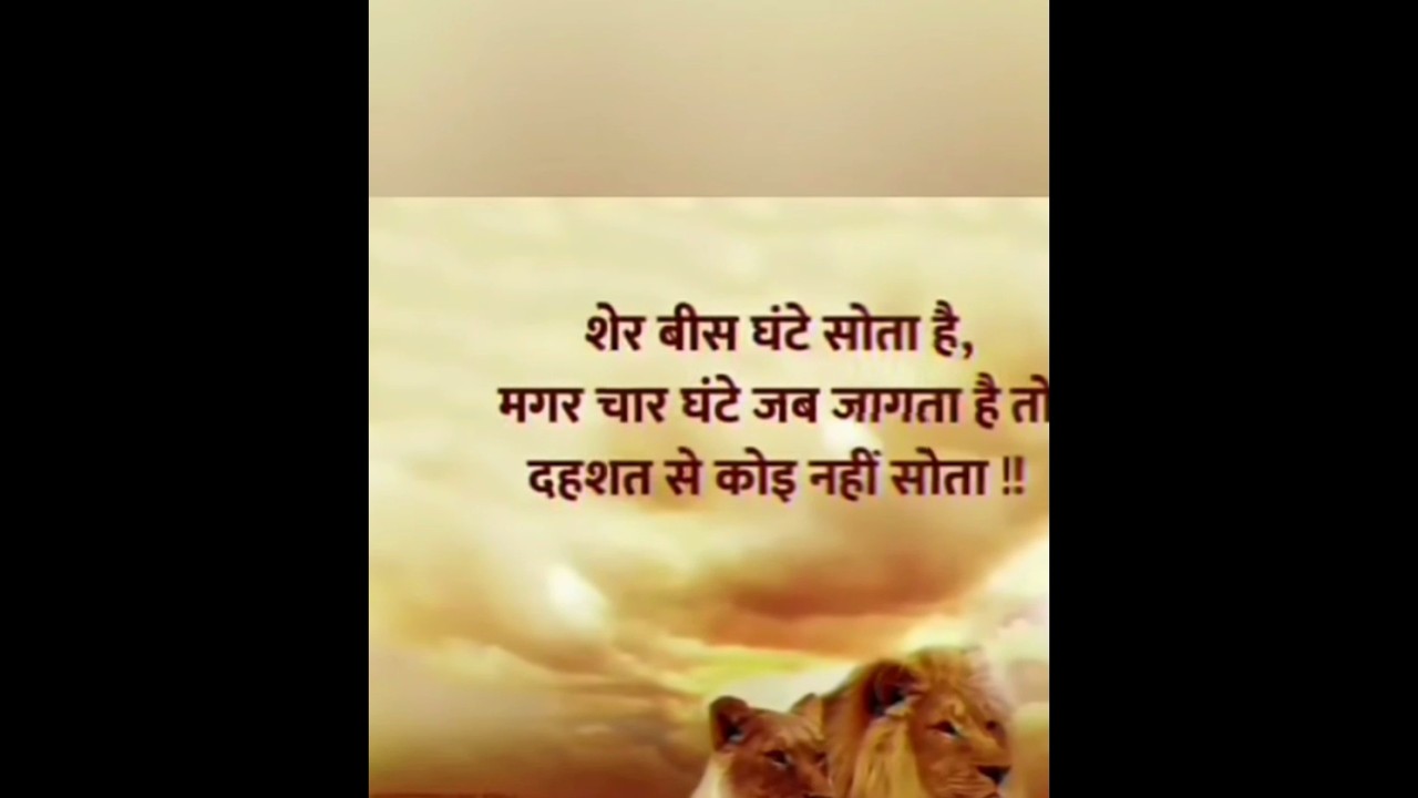 Best motivational videos 