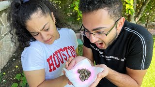 Süheyla İle 24 Saat Bahçede Kalsak Ne Olur