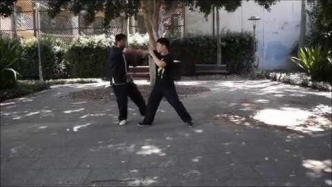 Fu Style Yin Bagua Zhang Application part 1 傅振嵩八卦掌陰八卦用法 (上)