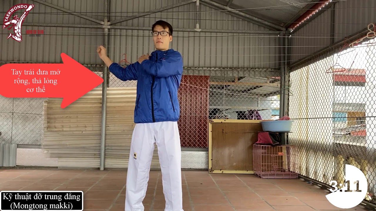 5 phút ôn lại 3 đòn đỡ cơ bản | Kỹ thuật căn bản | ♥ CLB Taekwondo Đống Đa ♥