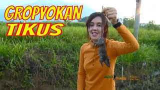 Jodilee Warwick Ikut Gropyokan Tikus  Jejak Petualang