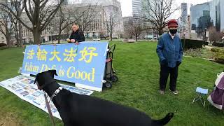 Dogs, Cherry Blossoms, Provincial Legislature, Queen Elizabeth II & Falun Dafa  ‍‍♂