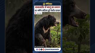 बाम्हनडीह में Bear Attack: 62 वर्षीय महिला पर भालू ने किया हमला, दहशत