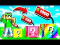 MINECRAFT MA POSSO COMPRARE I LUCKYBLOCK!