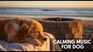 LIVE 24/7 Calming Music for Anxious Dogs 🐶 : Relaxing Autumn Ambience for Ultimate Stress Relief screenshot 3