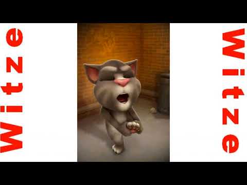 Talking Tom Sprechende Katze Youtube Video Lachen