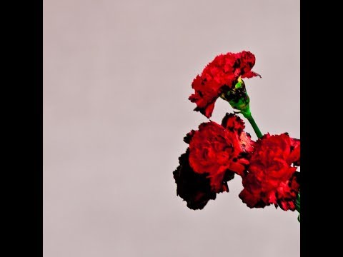Punk music video thumbnail preview for John Legend - What If I Told You? (interlude)