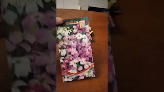 Обзор семян 