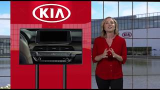 System Overview: Layout, Keys & Steering Wheel Controls Net Worth