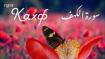 Сура Кахф سورة الكهف каждую пятницу + сегодня это сунна! Слушайте обязательно! #quran #surah #alkahf