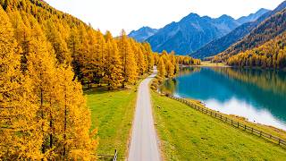 Beautiful Calming Music 🌿 Soft Piano for Stop Overthinking & Emotional Healing screenshot 5