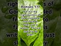 Romans 1:17 #Jesus #bible #bibleverse #verse #verseoftheday #life #oldtestament #christian